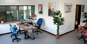 Vigasio reception
